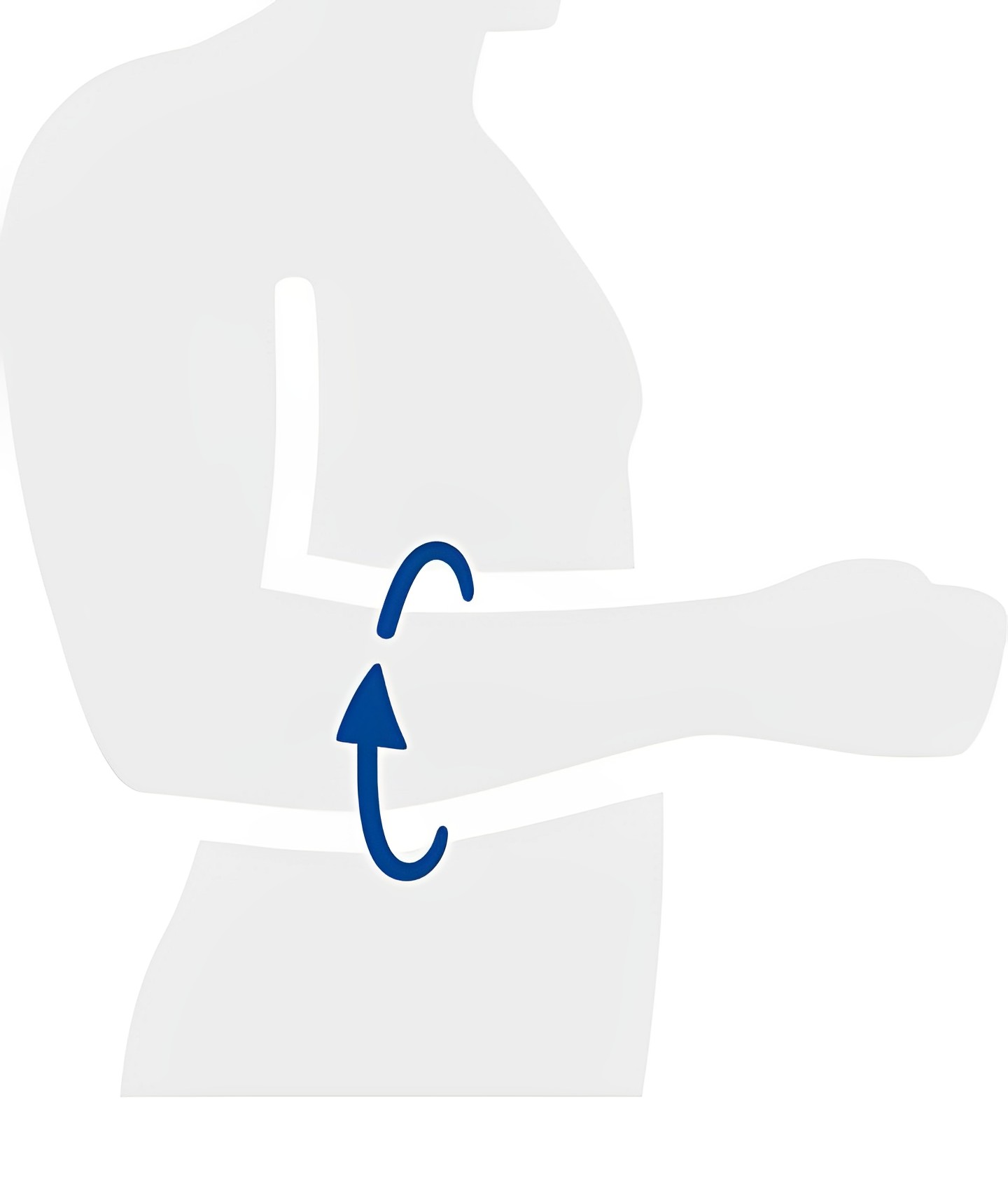Elbow Brace EpiTrain