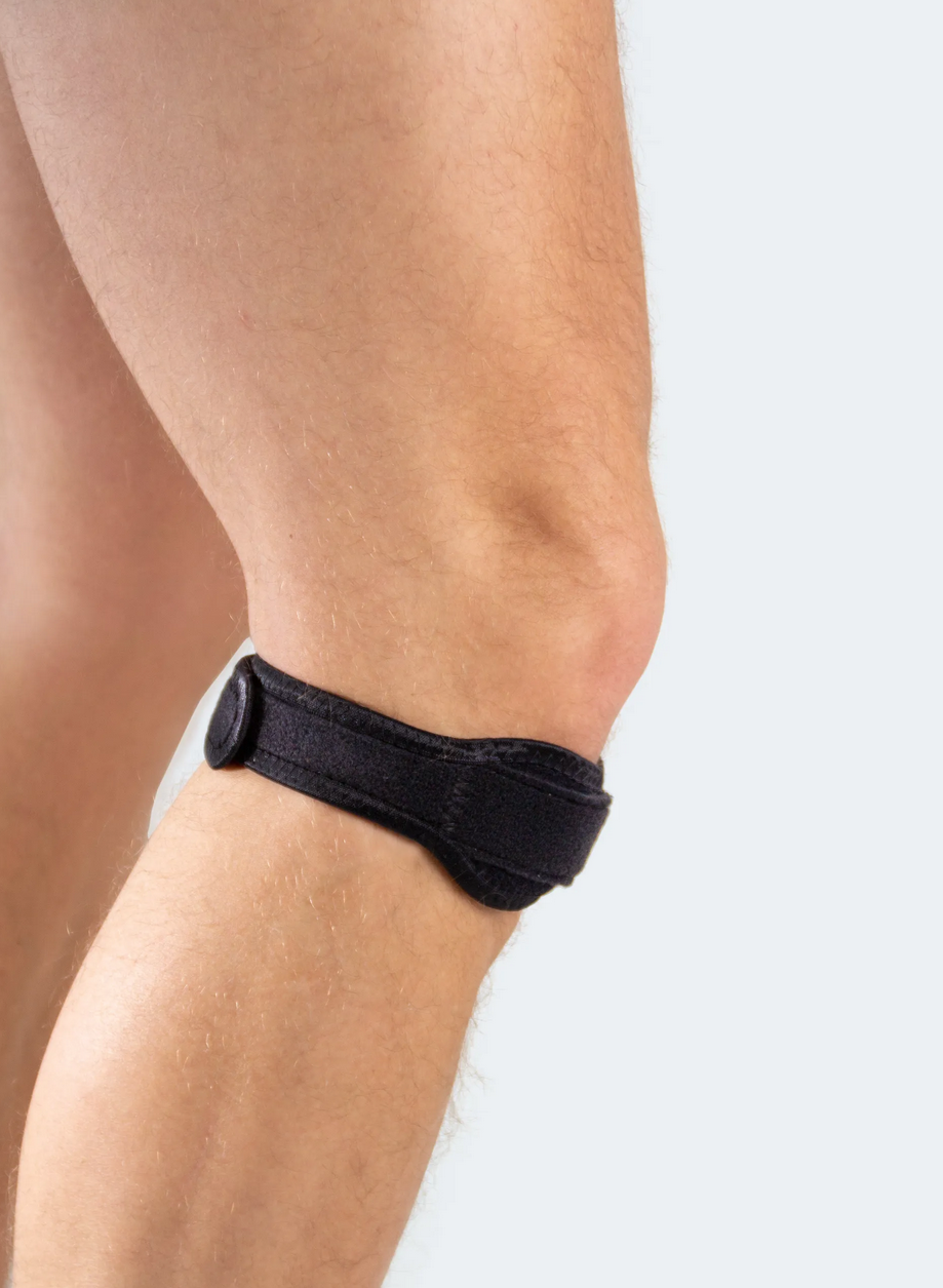 Patella Tendon Ligament